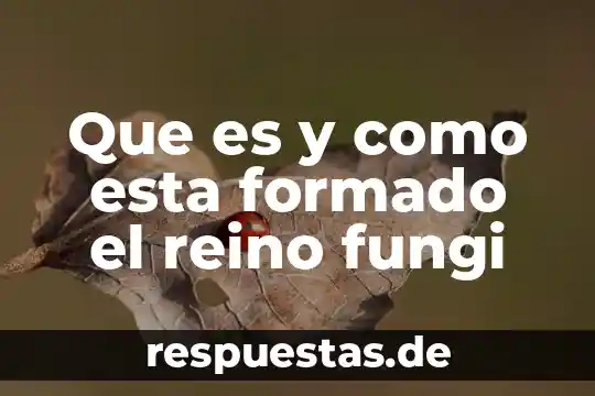Que es el reino anidas y ejemplos 8 Que es y como esta formado el reino fungi