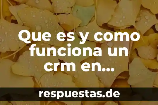 Que es el comercio juridico 4 Que es y como funciona un crm en comercio electronico