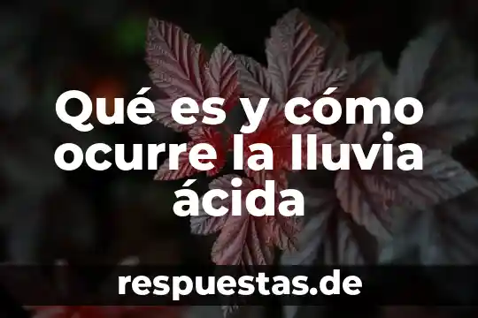 Qué es el la lluvia acida 3 Qué es y cómo ocurre la lluvia ácida