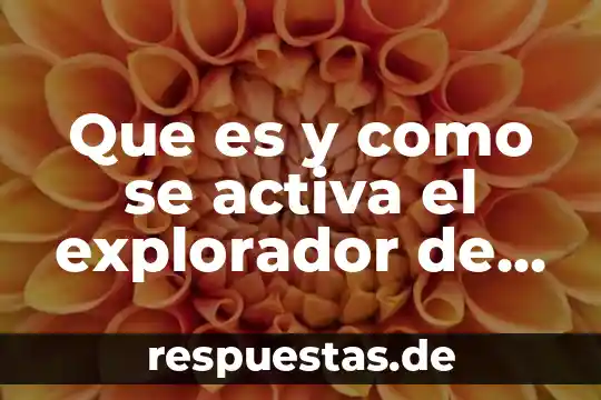 Qué es cinesiterapia activa 6 Que es y como se activa el explorador de windows