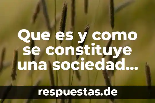 Que es la sociedad civil 6 Que es y como se constituye una sociedad pesquera