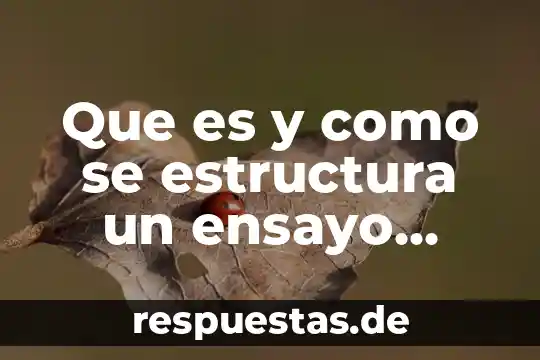 Que es y como se estructura un ensayo literario