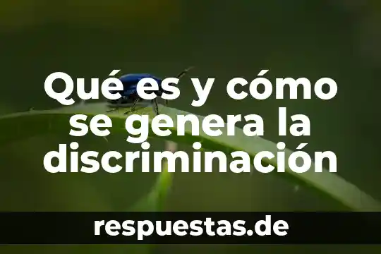 Que es la inflacion y como se genera 3 Qué es y cómo se genera la discriminación