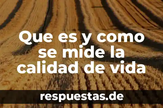 ¿Qué es vida cotidiana? 4 Que es y como se mide la calidad de vida