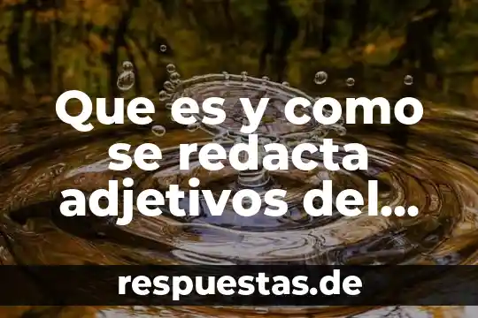 Que es un investigador anfitrion 4 Que es y como se redacta adjetivos del investigador