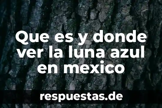 Que es ver mas fox 4 Que es y donde ver la luna azul en mexico