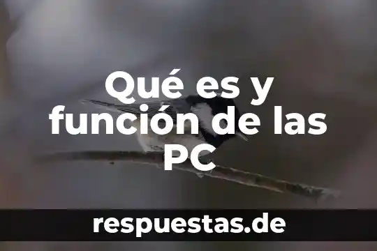 Que es color de fondo en una pagina web 7 Qué es y función de las PC