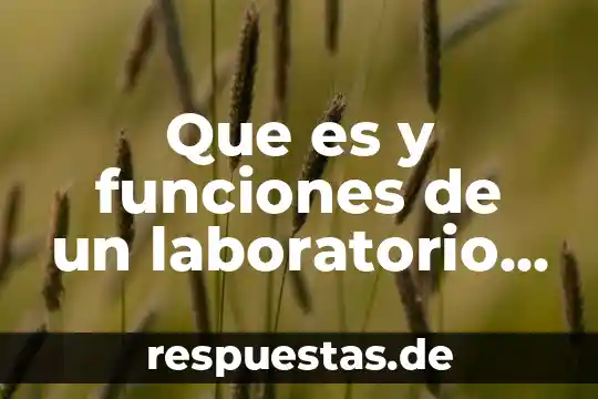 Que es y funciones de un laboratorio escolar