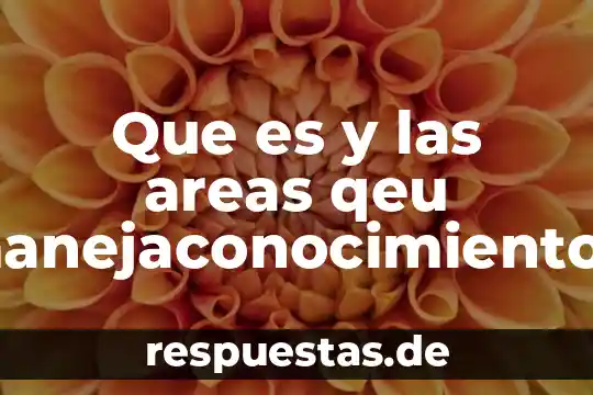 Qué es el alma racional en filosofía 8 Que es y las areas qeu manejaconocimiento racional