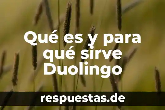 Qué es y para qué sirve Duolingo