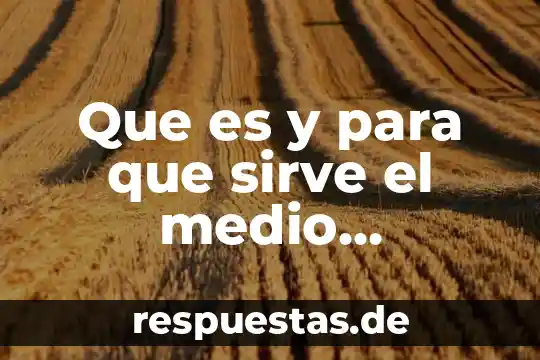 Que es mas importante la herencia o el ambiente 2019 7 Que es y para que sirve el medio ambiente