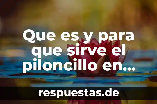 Que es un dilema definicon con su autor 6 Que es y para que sirve el piloncillo en reposteria