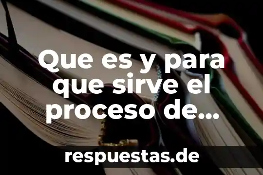 Que es una tesis para que sirve una tesina 8 Que es y para que sirve el proceso de mielinizacion