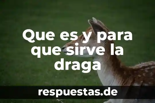 Qué es Google, cómo se utiliza y para qué sirve 3 Que es y para que sirve la draga