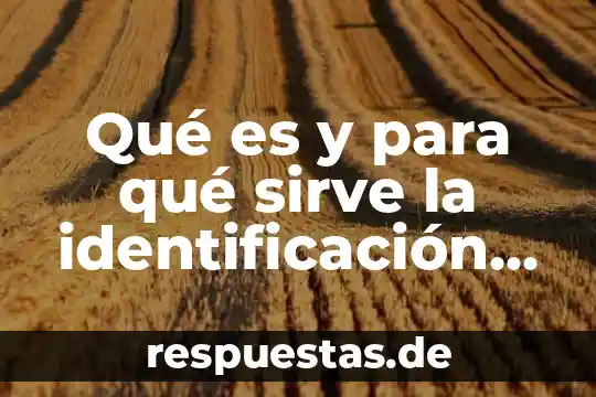 Qué es el número de identificación del INE 8 Qué es y para qué sirve la identificación fiscal
