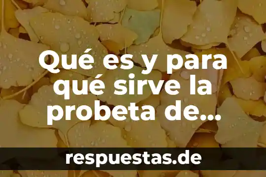 Qué es y para qué sirve la probeta de laboratorio