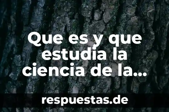 Que es y que estudia la ciencia de la fisica