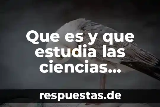Que es una cosa de ciencias 3 Que es y que estudia las ciencias naturales
