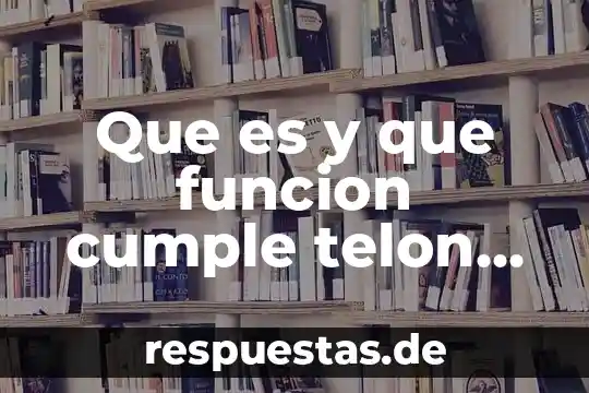 Por que es importante elena garro para el teatro mexicano 5 Que es y que funcion cumple telon dentro del teatro