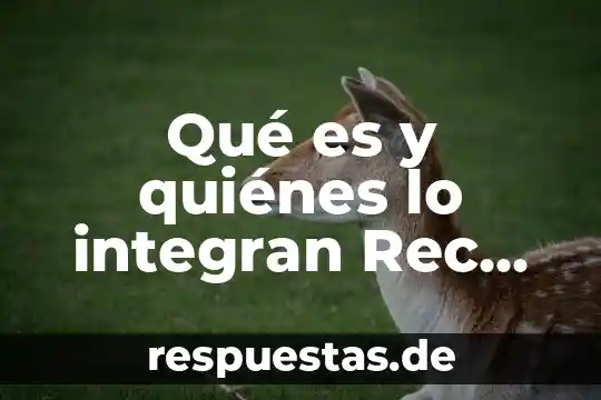Qué es la música sexosa 8 Qué es y quiénes lo integran Rec de Tabasco