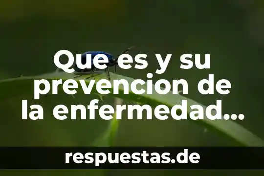 Qué es prevención en salud conclusión 8 Que es y su prevencion de la enfermedad de asma