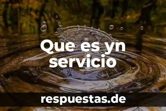 Que es el significado de ebano 3 Que es yn servicio