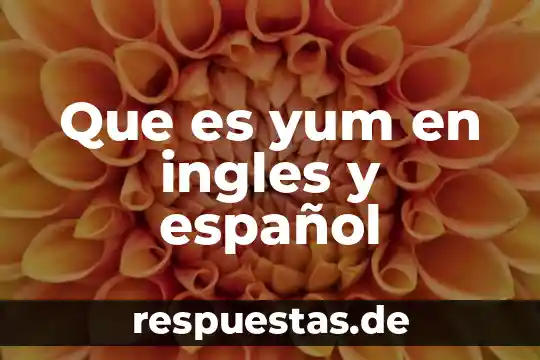 Que es yum en ingles y español