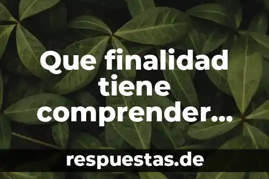 Que es comprender globalmente un texto 4 Que finalidad tiene comprender que es la comunicacion