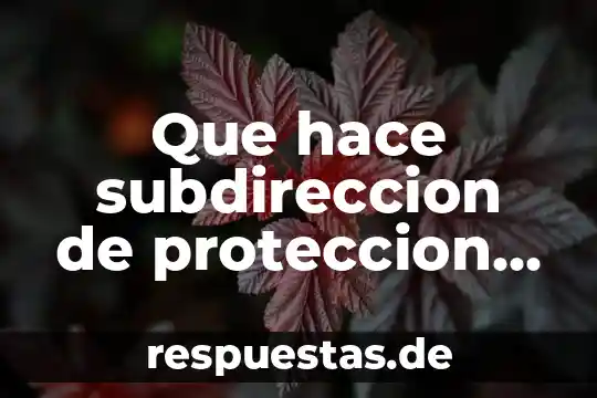 Ejemplos de que es lo que hace un cracker 8 Que hace subdireccion de proteccion animal que es