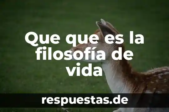Que es un proceso de solidificación 3 Que que es la filosofía de vida