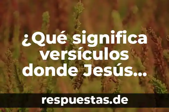 Que es la felicidad segun jesus 4 ¿Qué significa versículos donde Jesús dice que es santo?