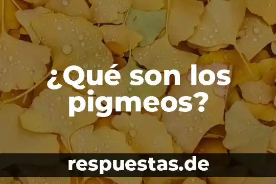 Que es son las redes privadas 4 ¿Qué son los pigmeos?