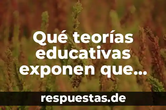 Que es la teorías activas y innatistas 7 Qué teorías educativas exponen que es benéfico el trabajo colaborativo