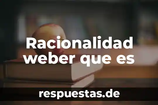Weber do que es 4 Racionalidad weber que es