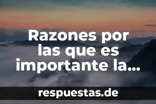 Razones por las que es importante la capacitación