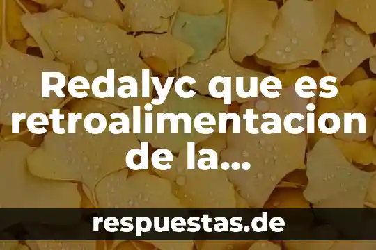 Que es una ecua evaluacion 4 Redalyc que es retroalimentacion de la evaluacion