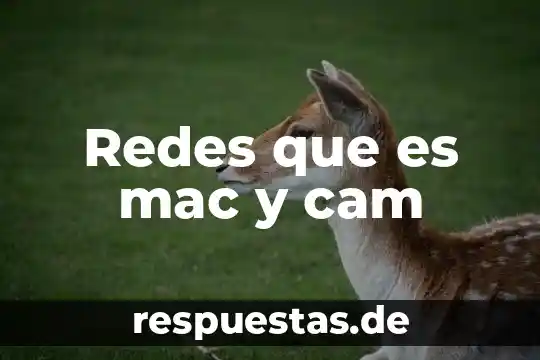 Cam manufactura asistida por computadora que es 8 Redes que es mac y cam