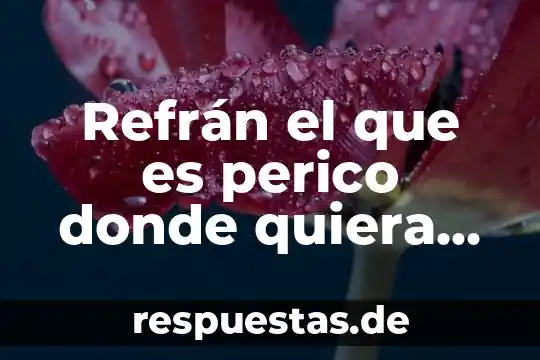 Betsabeé Romero No Todo Lo Que Es Verde Es Vida 4 Refrán el que es perico donde quiera es verde significado
