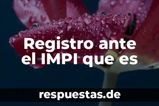 Que es sel registro en libros auxiliares 3 Registro ante el IMPI que es