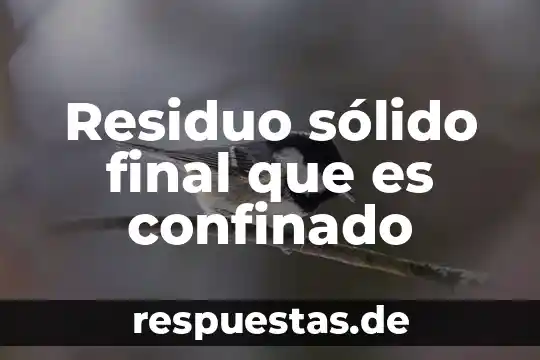 Que es el conocimiento solido 8 Residuo sólido final que es confinado