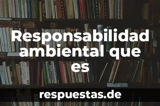 Que es la responsabilidad en programacion 3 Responsabilidad ambiental que es