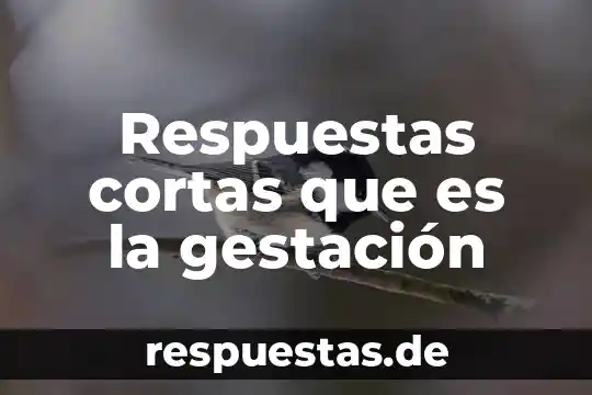 Que es la materia yahoo respuestas 5 Respuestas cortas que es la gestación