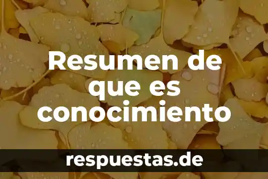 Que es formato en el resumen resumen en historia 8 Resumen de que es conocimiento