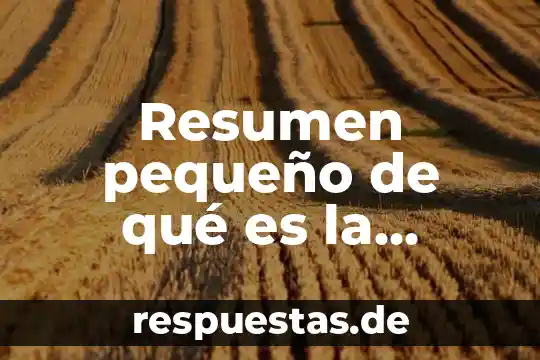 Resumen pequeño de qué es la máquina