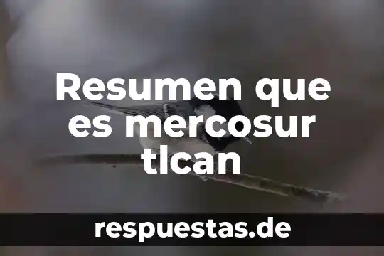 Que es como se elabora un resumen 3 Resumen que es mercosur tlcan