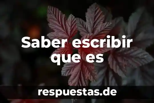 Buscamos amor sin saber lo que es 8 Saber escribir que es