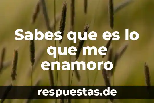 Sabes lo que es esto no alguna idea 7 Sabes que es lo que me enamoro