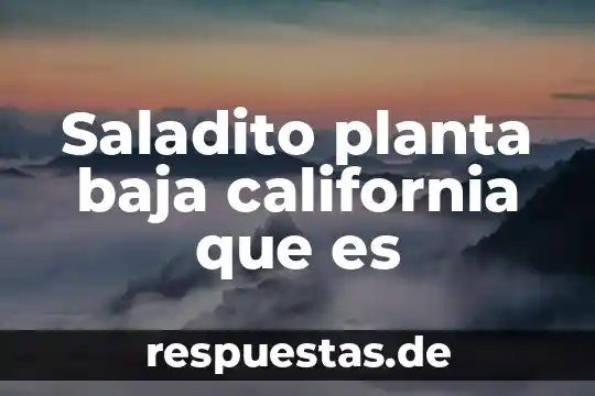 ¿Qué es árbol planta hulífera? 4 Saladito planta baja california que es