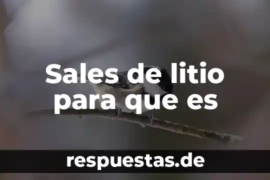 Clearance sales summary que es 7 Sales de litio para que es