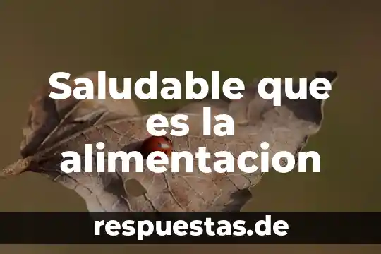 Saludable que es la alimentacion